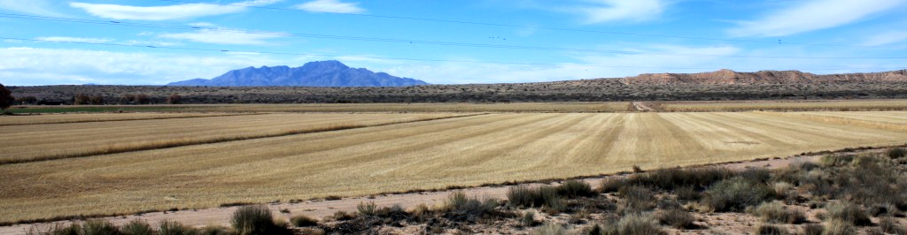 Somewhere in New Mexico